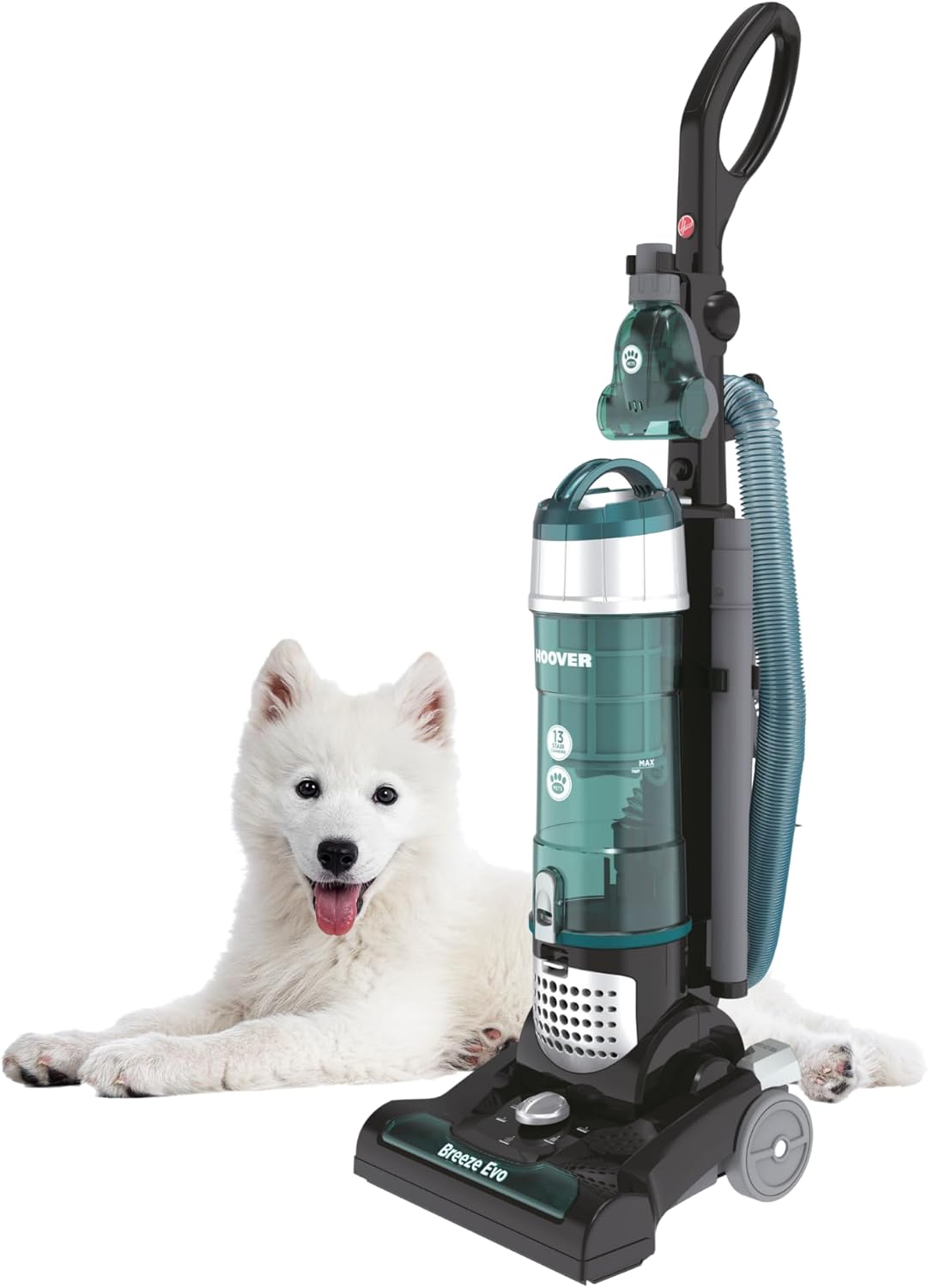 Hoover Breeze EVO Pets Upright Vacuum Cleaner, 850w Lightweight Corded Bagless Pet Hair Vacuum, 3L Bin, 4.5m Hose, Pet Tool, Long Reach for Carpets Hard Floors Stairs [TH31B002001]