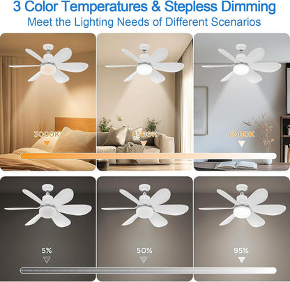 52CM Ceiling Fans with Lights and Remote Control, 40W E27 Screw-In Light Bulb Fan with 3 Speeds & 3 Color, Timer Function, Dimmable 3000K-6500K, Ceiling Fan Light for Bedroom, Living Room, Kitchen