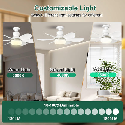 Ceiling Fan Light, FIBRAVE E27 Fan Lights with Remote Control, Stepless Dimmable 30W 1800 Lumens 3000-6500K 3-Color 3-Speed, Small Ceiling Fan with Light for Bedroom, Kitchen, Bathroom (White)