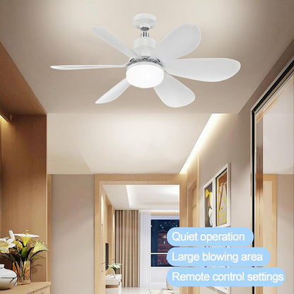 52CM Ceiling Fans with Lights and Remote Control, 40W E27 Screw-In Light Bulb Fan with 3 Speeds & 3 Color, Timer Function, Dimmable 3000K-6500K, Ceiling Fan Light for Bedroom, Living Room, Kitchen