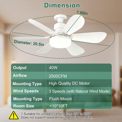 Ceiling Fan Light, FIBRAVE E27 Fan Lights with Remote Control, Stepless Dimmable 30W 1800 Lumens 3000-6500K 3-Color 3-Speed, Small Ceiling Fan with Light for Bedroom, Kitchen, Bathroom (White)