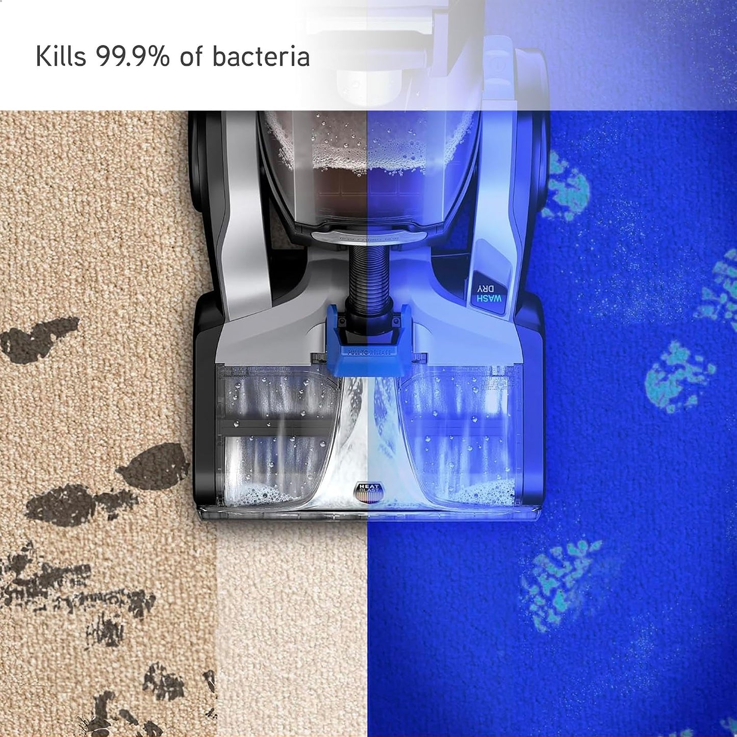 Vax Platinum Antibacterial 4L Carpet Cleaner Solution, Stain Remover Shampoo, Citrus & Blossom Scent, Removes 99.99% of bacteria, Neutralises Pet Odours, 1-9-142405, Blue